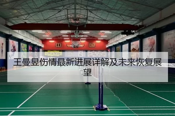 王曼昱伤情最新进展详解及未来恢复展望
